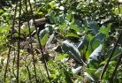 Blackbutt QLDorganic-gardening-3.jpg; ?>